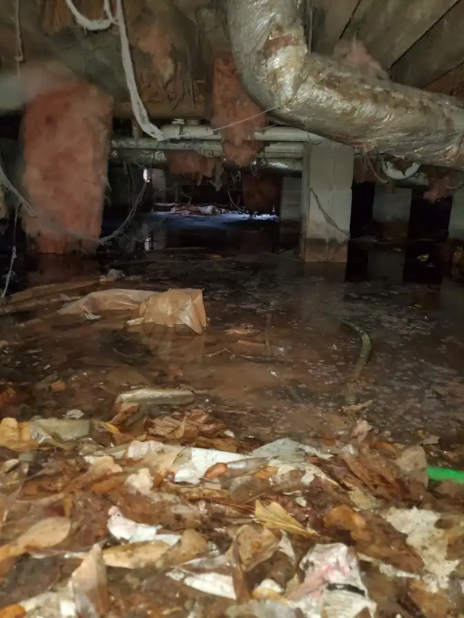 Crawl space flood assessment for Leak Detection & Repair in Ipswich